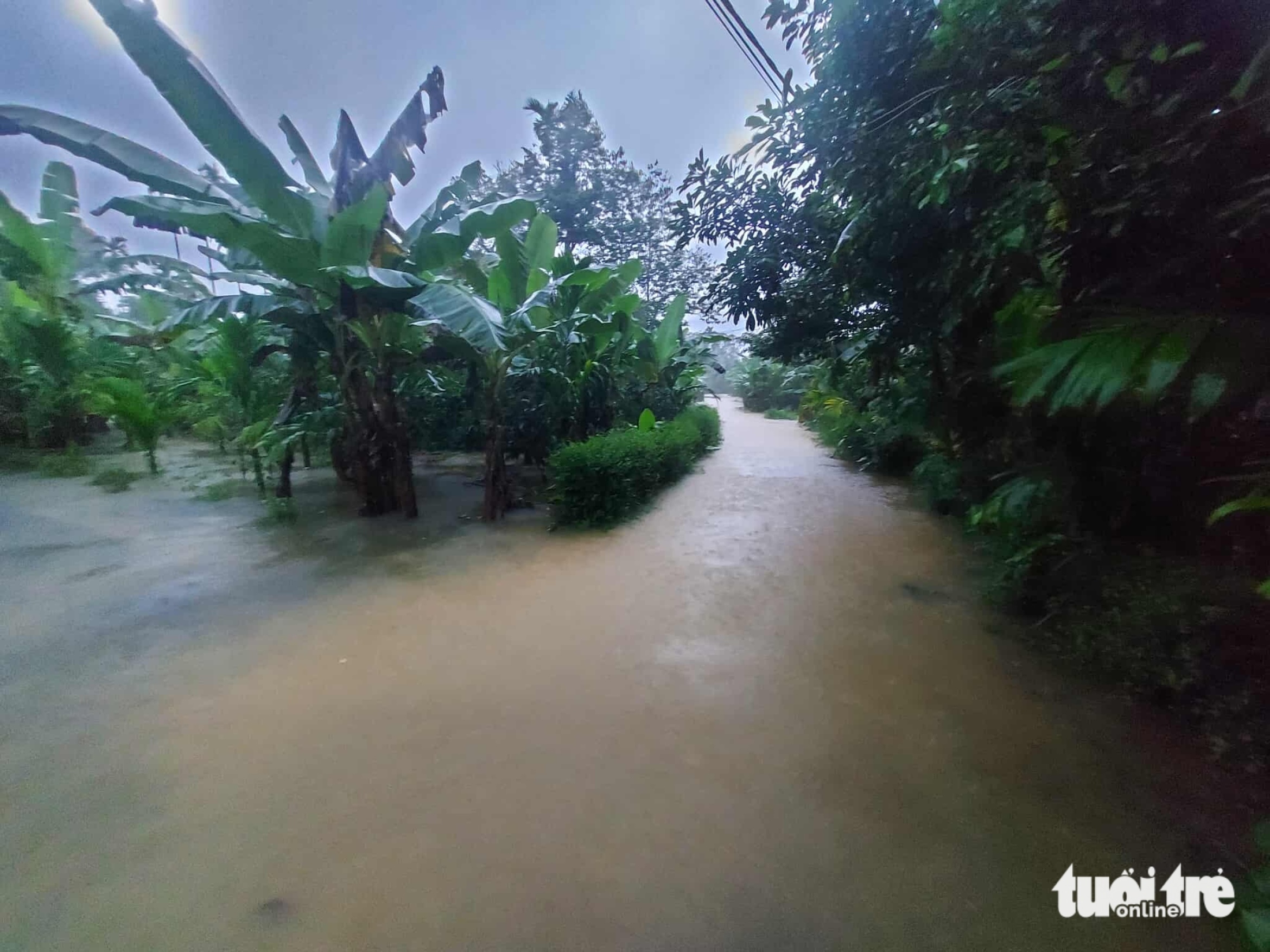 秋盆河洪水部分地区超警戒水位3级,岘港今日继续大雨